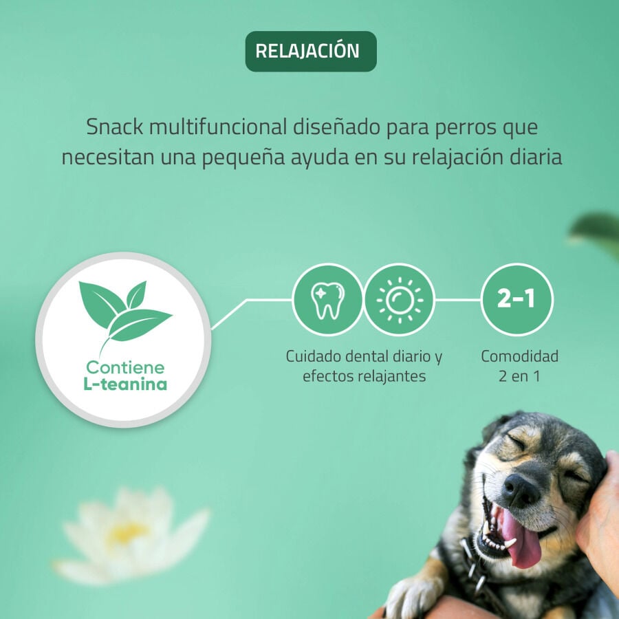 Virbac Snack para cães formato M Veggiedent Zen, , large image number null